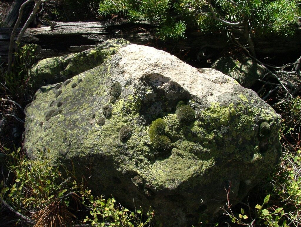 moss, rock, lichen, mold, boulder