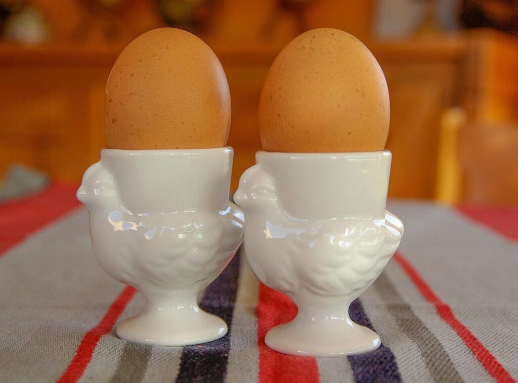 boiled eggs, eggs, egg cups, chicken, boiled eggs, boiled eggs, boiled eggs, boiled eggs, boiled eggs, eggs, eggs, eggs, eggs, eggs, egg cups
